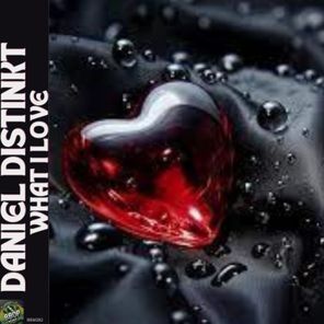 JP Disco, Daniel Distinkt – What I Love