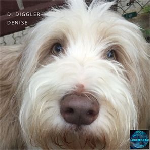 D. Diggler – Denise