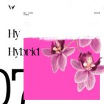 Space Motion – Hybrid