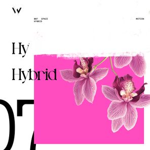 Space Motion – Hybrid