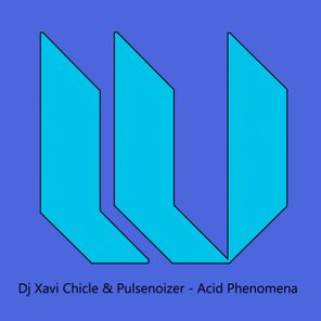 DJ Xavi Chicle, Pulsenoizer – Acid Phenomena