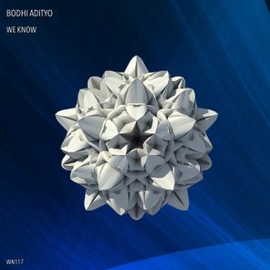Bodhi Adityo – We Know
