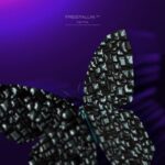 Kamilo Sanclemente, Jean Vayat – Freefallin