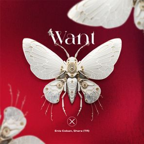 Enis Coban, Shera (TR) – Want