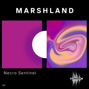 Necro Sentinel – Marshland