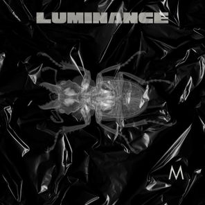 Gisella Engel, Spectral Union – Luminance