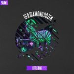 SHAW – Little Bag