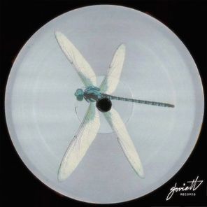Vostorg – Basement