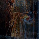 Salix, Ucci – Outside