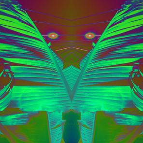 Kariatida – Jungle Mantra