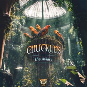 Chuckles – The Aviary