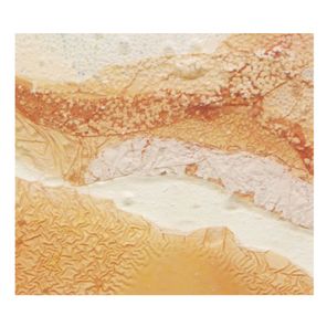 ASC – Tales of Introspection