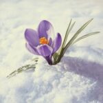 KR3TURE, Alexa Melo – Lilac