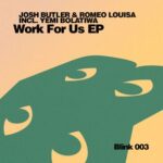 Josh Butler, Yemi Bolatiwa – Work For Us