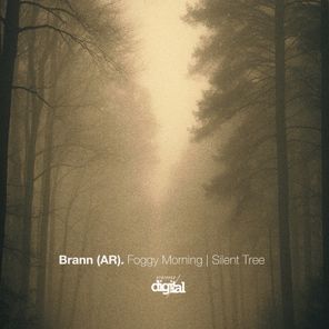 Brann (AR) – Foggy Morning | Silent Tree