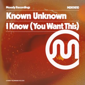 Known Unknown – I Know ( You Want This )
