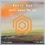 Paranoia106, Basic Guy – Don’t Wake Me Up