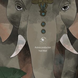 Astroconductor – Feel Mad
