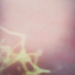 13f27957 240d 46ec 85bb c0e40511817c