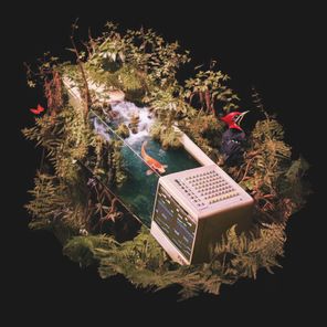 Arkaik, Peter Outlaw – Digital Nature EP