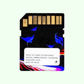 Algorythm, Summer Martin – Tokyo In the Night