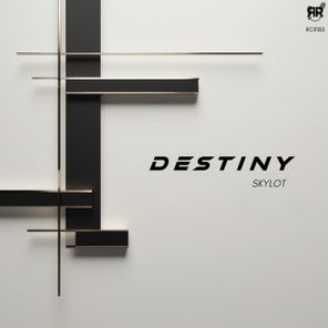 Skylot – Destiny