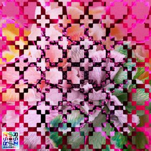 Nickon Faith, Lisene – Love Colours