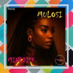 Minidisk – Mulosi