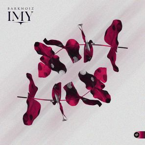 Barknoiz – IMY