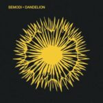 Antigone, Semodi – Dandelion