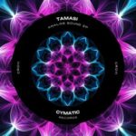 Tamasi – Analog Sound