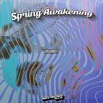 Disqobot – Spring Awakening