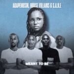 House Villains, S.A.N.E – Meant to Be