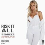 Dave Rice, Doppe & Kokke – Risk It All Remixes