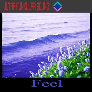 Ultra Funkular Sound – Feel