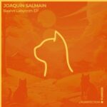 Joaquín Salmain – Baahrt Labyrinth