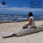 Todd Breed – Breezin