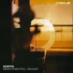 Sceptix – Never Stand Still / Soulkey