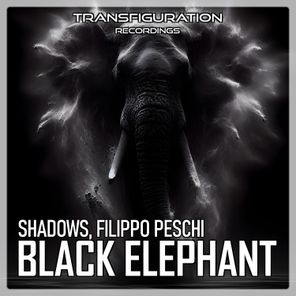 Shadows, Filippo Peschi – Black Elephant