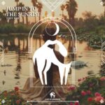 Cafe De Anatolia, Eddy Hart – Jump in to the Sunrise
