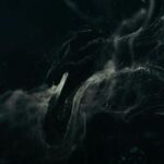 DUPØUY – Ausencia De Luz
