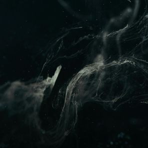 DUPØUY – Ausencia De Luz