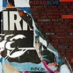 Guuse, Salvador Poletti – Microblue