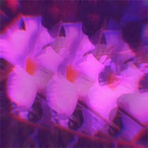 XIX – The Heart Wants What It Wants