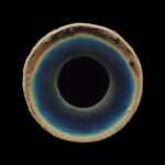 MoM, DRMZ – Blackhole