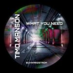 Timo Manson – What You Need