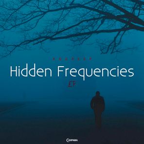 Roudeep – Hidden Frequencies