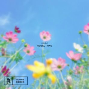 ORACLE – Reflections