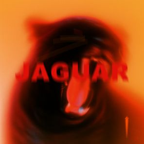 Litwiggz – Jaguar