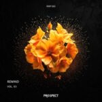 The Southern, Kadric – Rewind, Vol. 3
